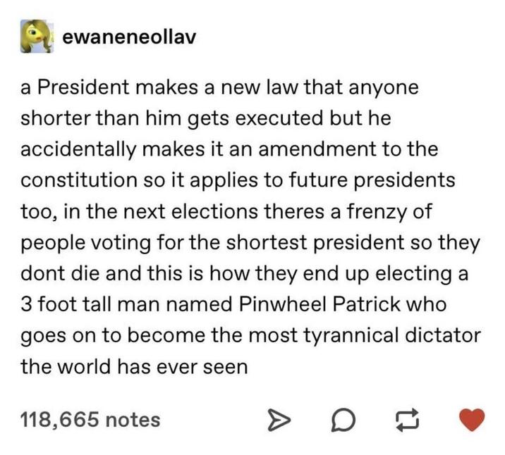 ewaneneollav a President makes a new law that anyone shorter than him gets executed but he accidentally makes it an amendment to the constitution so it applies to future presidents too, in the next theres a frenzy of people voting for the shortest president so they dont die and this is how they end up electing a 3 foot tall man named Pinwheel Patrick who goes on to become the most tyrannical dictator the world has ever seen 118,665 notes D H