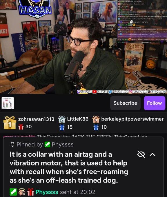 Hasan says that his dog was wearing a collar with an airtag and a vibration motor NOT a shock collar A screenshot of Hasan's stream claiming he uses a vibrating collar, not a shock collar.
