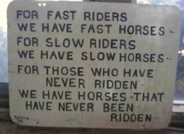 FOR FAST RIDERS WE HAVE FAST HORSES - FOR SLOW RIDERS WE HAVE SLOW HORSES - FOR THOSE WHO HAVE NEVER RIDDEN- WE HAVE HORSES THAT HAVE NEVER BEEN Falicy M RIDDEN