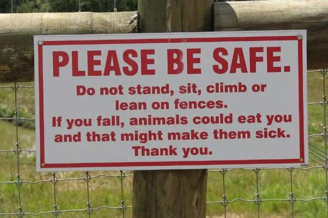 PLEASE BE SAFE. Do not stand, sit, climb or lean on fences. If you fall, animals could eat you and that might make them sick. Thank you.