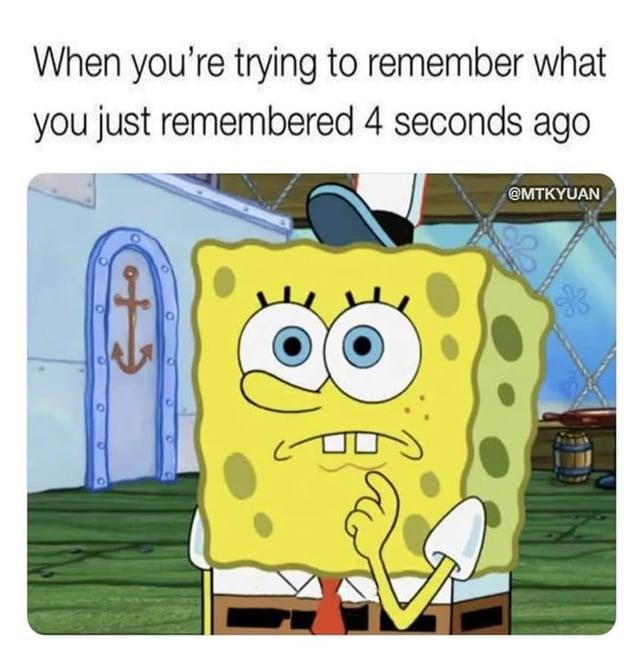 When you're trying to remember what you just remembered 4 seconds ago +5 ㅁㅁ @MTKYUAN