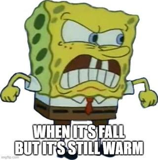 imgp.com WHEN IT'S FALL BUT IT'S STILL WARM