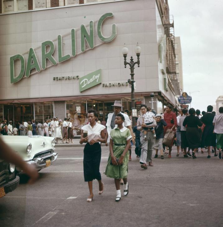 DARLING FEATURING Darling FASHIONS Full Parrot VERULE