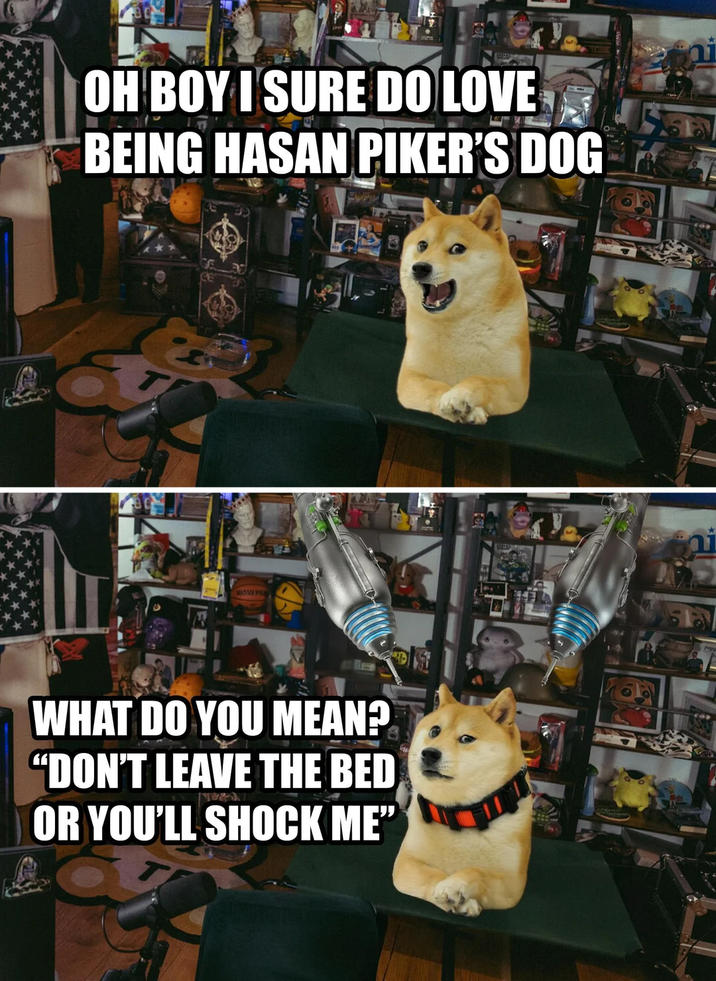 OH BOY I SURE DO LOVE BEING HASAN PIKER'S DOG MASAN PAR WHAT DO YOU MEAN? "DON'T LEAVE THE BED OR YOU'LL SHOCK ME"