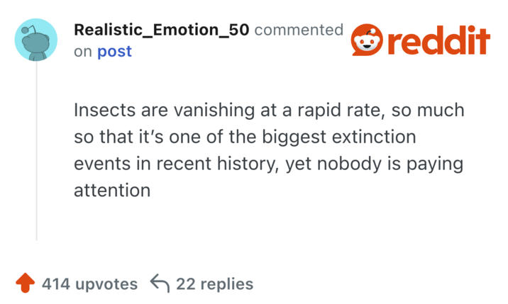 Insects are vanishing at a rapid rate, so much so that it’s one of the biggest extinction events in recent history, yet nobody is paying attention