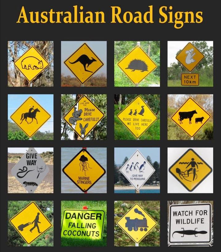 Australian Road Signs جمعه GIVE WAY 27 LIVE HERE TOO Please DRIVE CAREFULLY PLEASE DRIVE CAREFULLY WE LIVE HERE TOO MARINE STINGERS GIVE WAY TO PENGUINS DANGER FALLING COCONUTS NEXT 10km WATCH FOR WILDLIFE