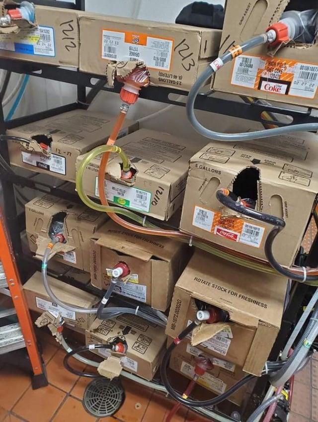 1212 PAGE BIBL BONYO 1213 SNOTTED 52 12-77 GALLON AND LITER WILD FELLD 193 WWNITED SCALLOWS GRIP ASSIST 12/10 00125000 DIET COME C28420 Coke 5 GALLONS 02 27 22 www Coca-Cola GAP ASSIST MODY DROOK FOR FRESHNrss ROTATE STOCK FOR FRESHNESS MB-1072.00302G