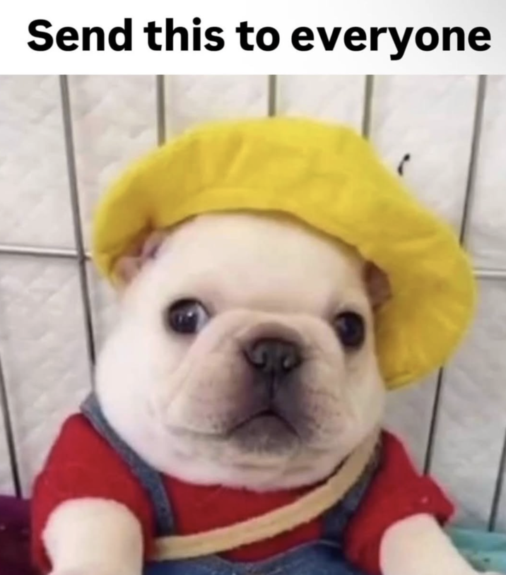 Send this to everyone