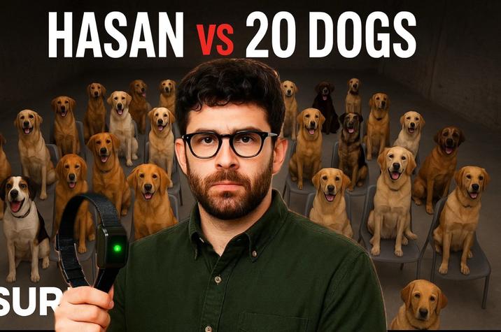 SUR HASAN VS 20 DOGS