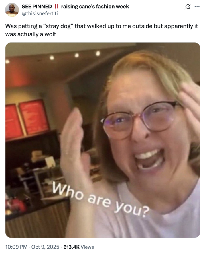 X user @thisisnefertiti tweeted the "Who Are You?" meme alongside a caption that read, "Was petting a “stray dog” that walked up to me outside but apparently it was actually a wolf."