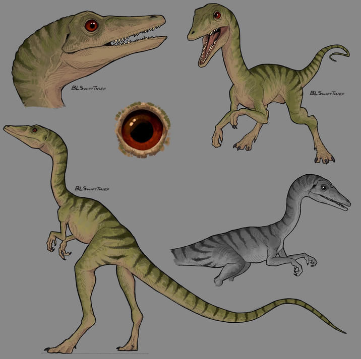 BLSWIFT THIEF BLSWIFT THIEF www BLSWIFT THIEF