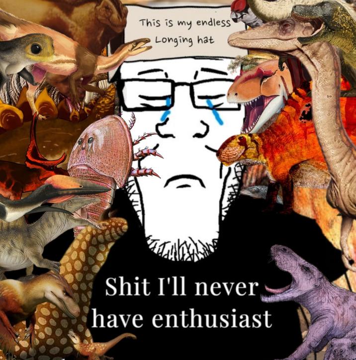 This is my endless Longing hat S--- I'll never have enthusiast