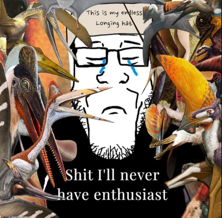 This is my endless Longing hat S--- I'll never have enthusiast