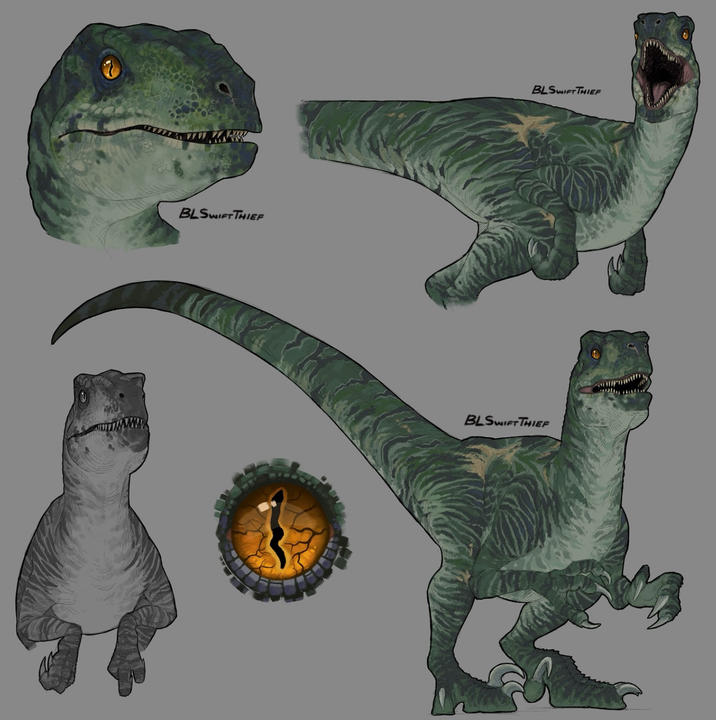 BLSWIFT THIEF BLSWIFT THIEF BLSWIFT THIEF