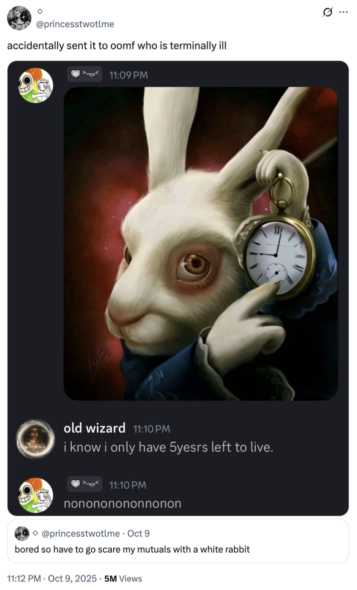 @princesstwotlme accidentally sent it to oomf who is terminally ill Ø .. 11:09 PM old wizard 11:10 PM i know i only have 5yesrs left to live. 11:10 PM nonononononnonon ◇ @princesstwotlme - Oct 9 bored so have to go scare my mutuals with a white rabbit 11:12 PM - Oct 9, 2025 5M Views