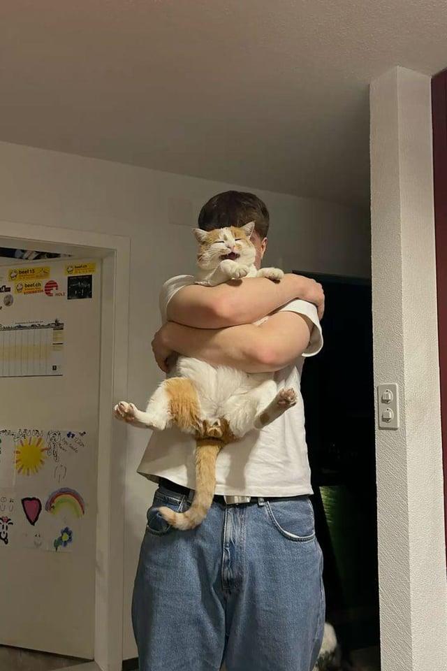 beef 15 beet.ch HOLZ Sado