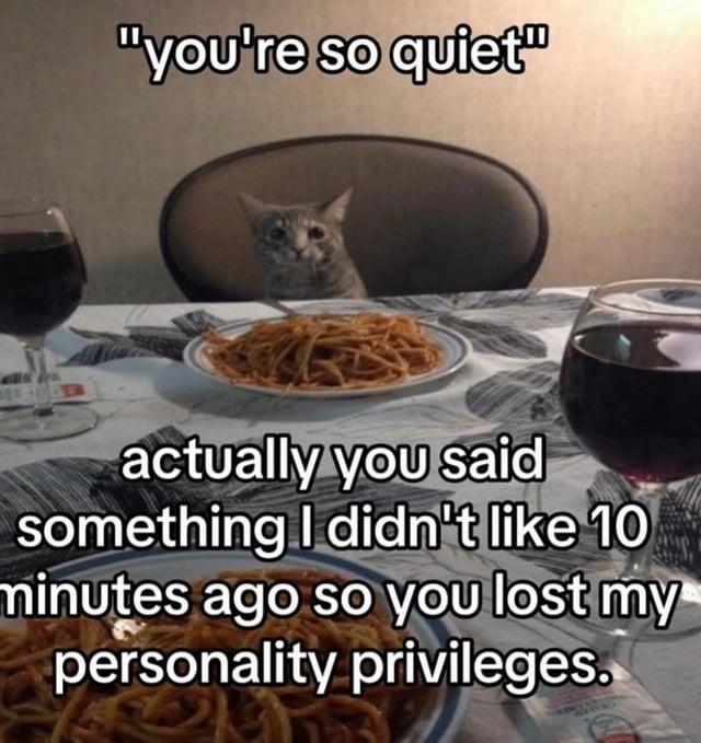 "you're so quiet" actually you said something I didn't like 10 minutes ago so you lost my personality privileges.