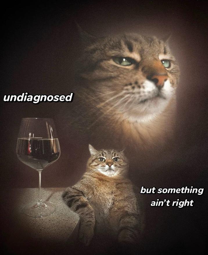 undiagnosed but something ain't right