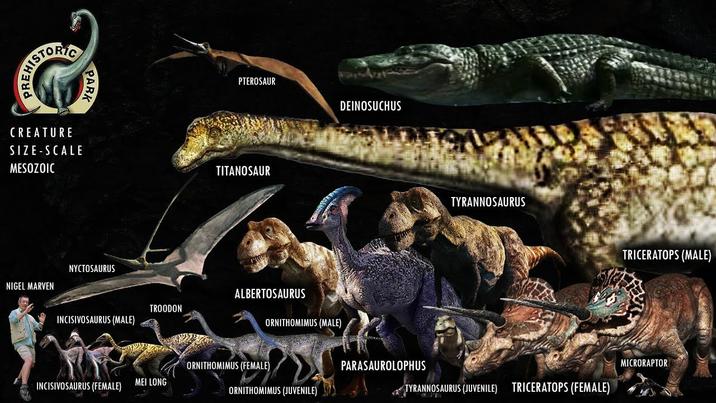REHISTORIC PARK CREATURE SIZE-SCALE MESOZOIC NYCTOSAURUS NIGEL MARVEN PTEROSAUR TITANOSAUR DEINOSUCHUS ALBERTOSAURUS TROODON INCISIVOSAURUS (MALE) ORNITHOMIMUS (MALE) TYRANNOSAURUS TRICERATOPS (MALE) ORNITHOMIMUS (FEMALE) PARASAUROLOPHUS MICRORAPTOR MEI LONG INCISIVOSAURUS (FEMALE) ORNITHOMIMUS (JUVENILE) TYRANNOSAURUS (JUVENILE) TRICERATOPS (FEMALE)