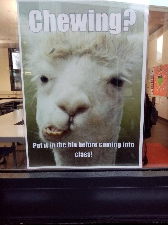 Chewing? Put it in the bin before coming into class!