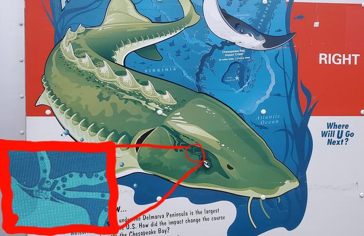 VIRGINIA meteo N... undee Delmarva Peninsula is the largest We U.S. How did the impact change the course the Chesapeake Bay? CHESAPEAKE Chesapeake Bay et Crater Impact C 53 miles wide, 12 miles deep RIGHT CAPE CHARLES Atlantic Ocean Where Will U Go Next?