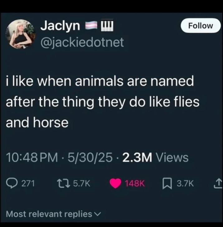 Jaclyn @jackiedotnet i like when animals are named Follow after the thing they do like flies and horse 10:48 PM - 5/30/25 2.3M Views 271 tz 5.7K 148K 3.7K Most relevant replies