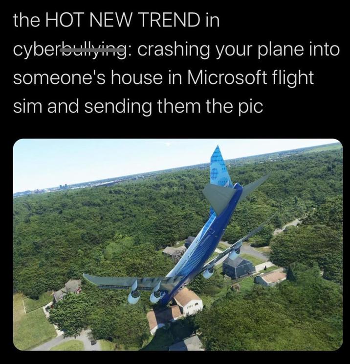 the HOT NEW TREND in cyberbullying: crashing your plane into someone's house in Microsoft flight sim and sending them the pic