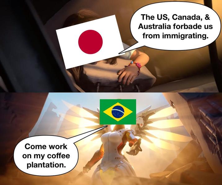 a The US, Canada, & Australia forbade us from immigrating. Come work on my coffee plantation. 40