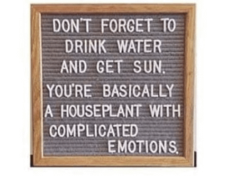 DON'T FORGET TO DRINK WATER AND GET SUN. YOU'RE BASICALLY A HOUSEPLANT WITH COMPLICATED EMOTIONS