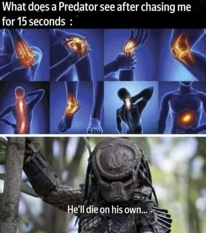 What does a Predator see after chasing me for 15 seconds: He'll die on his own...