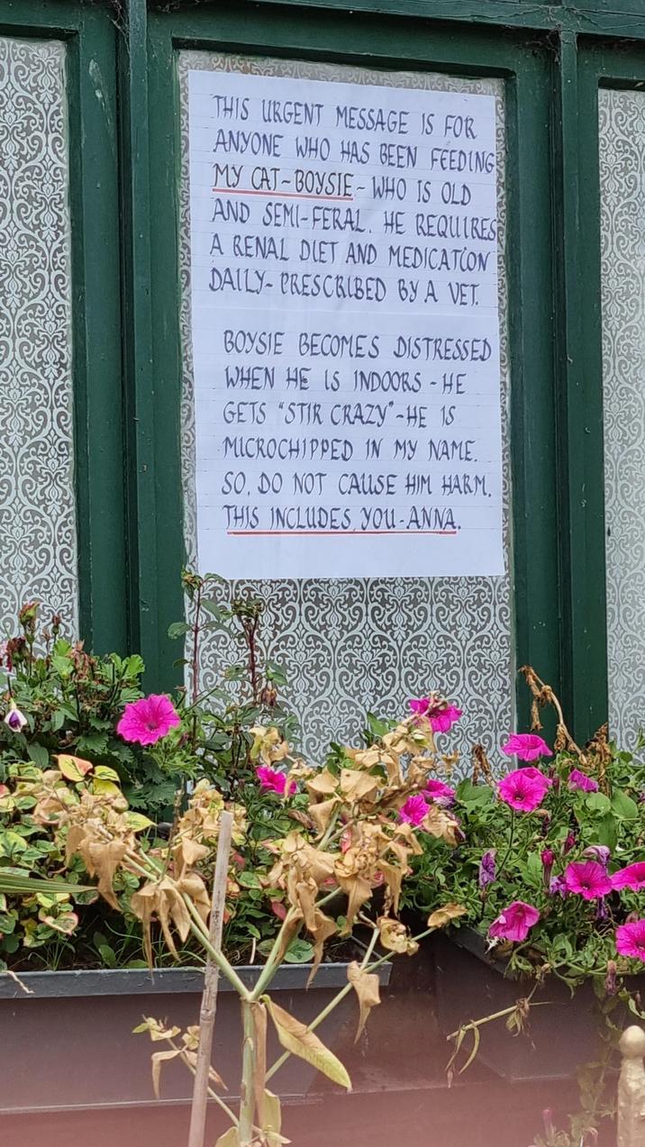 THIS URGENT MESSAGE IS FOR ANYONE WHO HAS BEEN FEEDING MY CAT-BOYSIE-WHO IS OLD AND SEMI-FERAL. HE REQUIRES A RENAL DIET AND MEDICATION DAILY-PRESCRIBED BY A VET. BOYSIE BECOMES DISTRESSED WHEN HE IS INDOORS - HE GETS "STIR CRAZY-HE 1S MICROCHIPPED IN MY NAME. SO. DO NOT CAUSE HIM HARM. THIS INCLUDES YOU-ANNA.