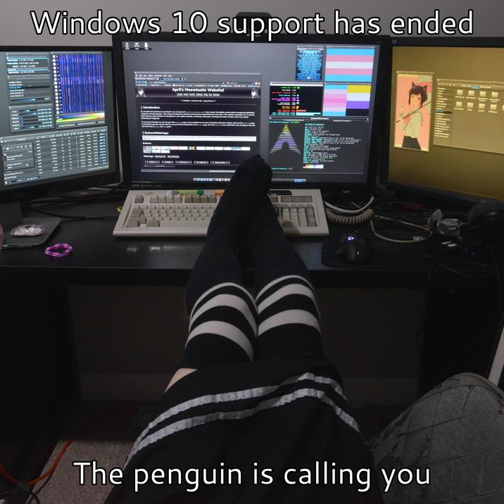 Windows 10 support has ended Network Total In/Out 1.73 GB/1.73 GB Peak In/Out 669.93 KB/s/669.93 KB/s In/Out 1.04 KB/s/1.04 KB/s enp37s0 Total In/Out 1.05 GB/156 MB Thermal amdgpu (edge) k10temp (Red) k10temp (Rt) mme (Composite) mume (Sensor 1) mme (Sensor 2) Senners 58.5°C Home CPU AcTioidly Root lew Higry Bookmarks Tools Heb DuckDuckGo-Protection. P... Aprils Meowtastic website! 1134 hepspot.nekoweb.org Aprils Mesta Square Zere DuckDuckGo Cantute. Su A Arch.openSUSE Se.. Home LOST... Blhaj Lemmy... Reddt-The h... Discover-B April's Meowtastic Website! gnupg email socials settings blog faq sitemap she/they transfem enby-eepy princess Graphice pipe 8. Event Engine 0.00 Vertex Grouper Tesselator Texture Addresser 5.8 Shader Egert 1.00 Shader Interpolator Scan Converter Prinitive sebly Sencer Detruction Cache Enlightenment 0.27.1 THIS SOFTWARE IS POVIDED "AS IS AND ANY EXPRESS OR IMPLIED WARRANTIES INCLUDING, BUT NOT LIMITED TO, THE IMPLIED WARRANTIES OF MERCHANTABILITY AND FITNESS FOR A PARTICULAR PURPOSE ARE DISCLAIMED. IN NO EVENT SHALL THE COPYRIGHT HOLDER OR CONTRIBUTORS BE LIABLE FOR ANY DIRECT, INDIRECT INCIDENTAL, SPECIAL EXEMPLARY, OR CONSEQUENTIAL DAMAGES (INCLUDING, BUT NOT LIMITED TO, UREMENT OF SUBSTITUTE GClose OR SERVICES LOSS OF ARE DAYA 00.PROSITE Used Cached Memory Usage 16.3GB/62.7 30.6 GB/62.7 GB Buffered 3.22 MB/62.7 GB Shared 901 MB/62.7 GB 1.8GHZ Swapped 08/64.0 GB Video 1.47 GB/4.00 GB 200 Overlay CPU frequency? Overlay CPU temperatures? Confused? Introduction: Hi, I'm April and welcome to my website! I am a 23 year old transfem.noobinacy.catgirl from Canada. My hobbies mostly relates to programming/building computers and photography. I like using and making free software and have been using GNU/Linux since 2011. This website is generally 13+, it contains mild swearing, some mentions of sexuality (in a non-explicit context), and (always with proper warnings) discussion of topics some may consider distressing or triggering To see more info about me, you can go to the about.me page. If you would like to see more information about this website, check out the about site page. If you'd like to get into contact with me, you can find the needed info on the socials page. Go to the sitemap if you would like to view all pages on this site, also with links to guides and blog posts Buttons/Webrings: NOTICE Websites linked here may execute nonfree JavaScript. | Webring owners, please check "Webrings Info" to see info about your webring Buttons: @a command user cpu pr size state qus april 114100 7 23 3 356 M sleep 09:46 50% april 92448 22 23 508 M 5 67:2520% april 1974 20 20 372 M sleep 5250 50% 1 sec april 127215 12 23 208 M sleep 06:20 1040% Show kernel threads? april 127276 24 23 3 114M sleep 05:52 10% User only? 121336 2 23 192 M sleep 07:05 30% Display status bar? Alpha 23620 24 23 747 M un 25:34 60% 138352 13 23 192 M root 873 S 20 065.3 M sleep 34:21 100% fedoro QrwebEngineProcess april 254222 20 23 3 200 M sleep 0251 80% terminology april 177599 12 23 355.4M 2 running 220 sleeping. 2 zombie Webrings: Webrings Info More Webrings 4.73%6 16.3 GB/62.7- Fediring Ring Retronaut Yuri Webring 2Autists Online >> sleep 05:32 150% sleep 00:36 30% HOMI senseyera LED april.nakoweb.org (26064700:20:43:482 100,00 vi-/Scripts/backupsafes.sh (april0aprile-neoputer "18 hyfetch A 110aprile-neouputer "130 04:08 05 aprilo apris meowputer: april aprile-neomputer 05: Arch Linux x86_64 Host: HS-7A39 (1.0) Kernel: Linux 6.16.8-arch3-1 Uptime: 5 hours, 41 ains aprikapril-meowputer Packages: 1120 (pacman), 53 (flatpak-user) Shell: Fish 4.0.8 Display (1942): 1440x900 0.94x in 19", 60 Hz [External] Display (BenQ OM2765): 2560x1440 0.94x in 27", 60 Hz (External) Display (Acer X243M): 1920x1200 0.94x in 24, 60 Hz (External) Display (2369H): 1920x1080 0.94x in 23, 60 Hz (External) Enlightenment (X11) Theme: E17gtk-revolved [GTK3) Icons: Enlightenment-X [OTK3), gnome [OTK4) Font: Ditstrean Vera Sana (10pt) [OTK3] Cursor: X11 Terminal: terminology 1.14.0 CPU: AMD Ryzen 7 3700x (16) 4.43 GHz GPU: AMD Radeon RX 580 Series [Discrete) Hemory: 15.19 01B/62.72 018 (24%) Swap: 08/64.00 018 (0%) Local IP (enp3780): 192.168.0.206/24 Locale: en CA.utr NCC ABM PALAS GWON 910 The penguin is calling you Desktop Home Root Pictures /home april Pictures Other Pictures Temp Screenshots Cat Pictures Dank Memes Downloaded Lunar Eclipse Pictures Photos Desktop Documents Downloads Screenshots Shots System Wallpapers Music Pictures Templates Videos 256GB Samsung- 1TB WD Blue 1TB WD Black 2TB Seagate Barr... Team Fortress 2 f2classic mtp-host Google. main site (april.ne..