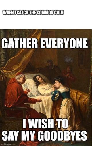 WHEN I CATCH THE COMMON COLD GATHER EVERYONE I WISH TO SAY MY GOODBYES imgfio.com