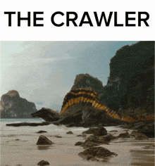 THE CRAWLER