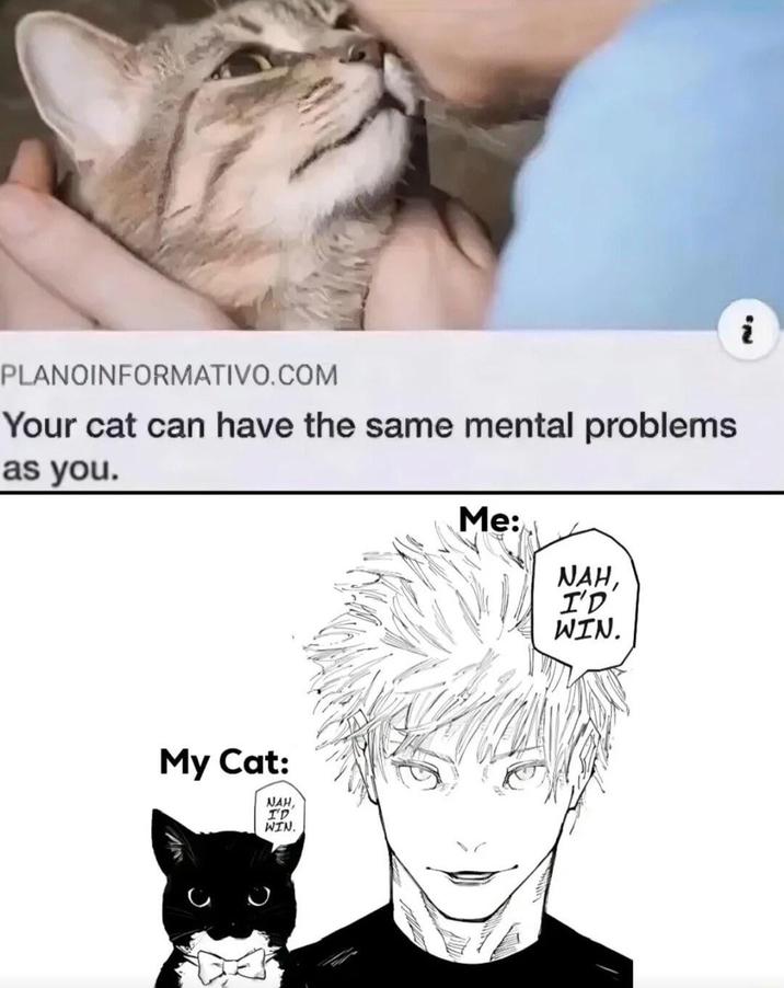 PLANOINFORMATIVO.COM Your cat can have the same mental problems as you. My Cat: NAH, I'D WIN. Me: NAH, I'D WIN. i