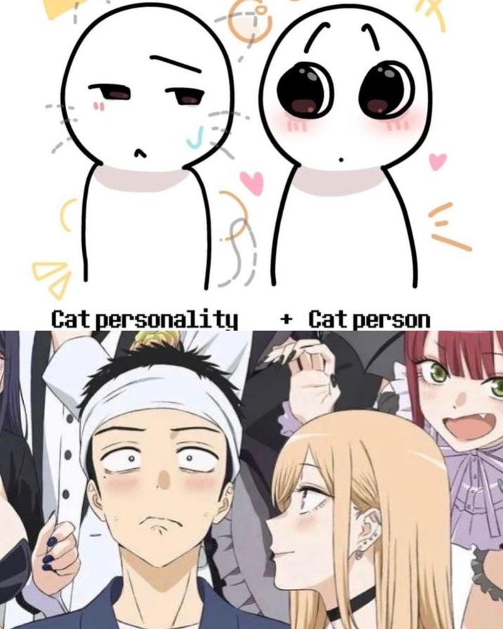 1 Cat personality + Cat person 10