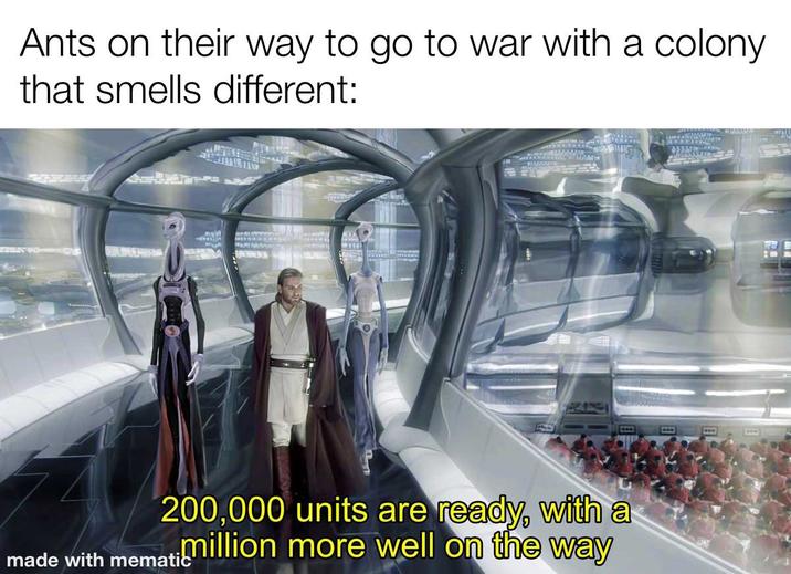 Ants on their way to go to war with a colony. that smells different: 200,000 units are ready, with a made with memati million more well on the way