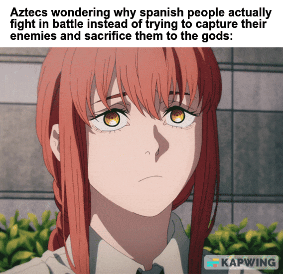 Aztecs wondering why spanish people actually fight in battle instead of trying to capture their enemies and sacrifice them to the gods: KAPWING