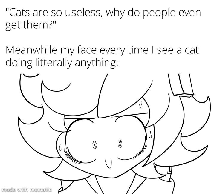 "Cats are so useless, why do people even get them?" Meanwhile my face every time I see a cat doing litterally anything: made with mematic X