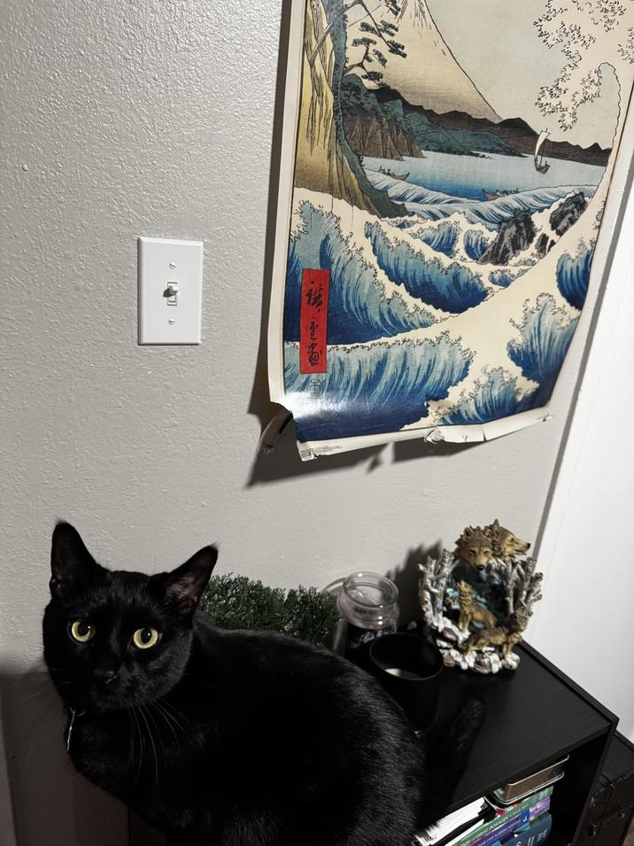 CARE PLAN OW DRUG DOSAGES A