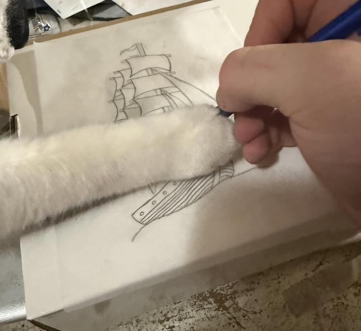 °
