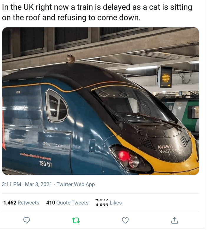 In the UK right now a train is delayed as a cat is sitting on the roof and refusing to come down. a Frat Group and Trenitalia FS Group company 390 117 . 3:11 PM Mar 3, 2021 Twitter Web App 4,UIS 1,462 Retweets 410 Quote Tweets Likes 4.822 27 AVANTI WEST COAST