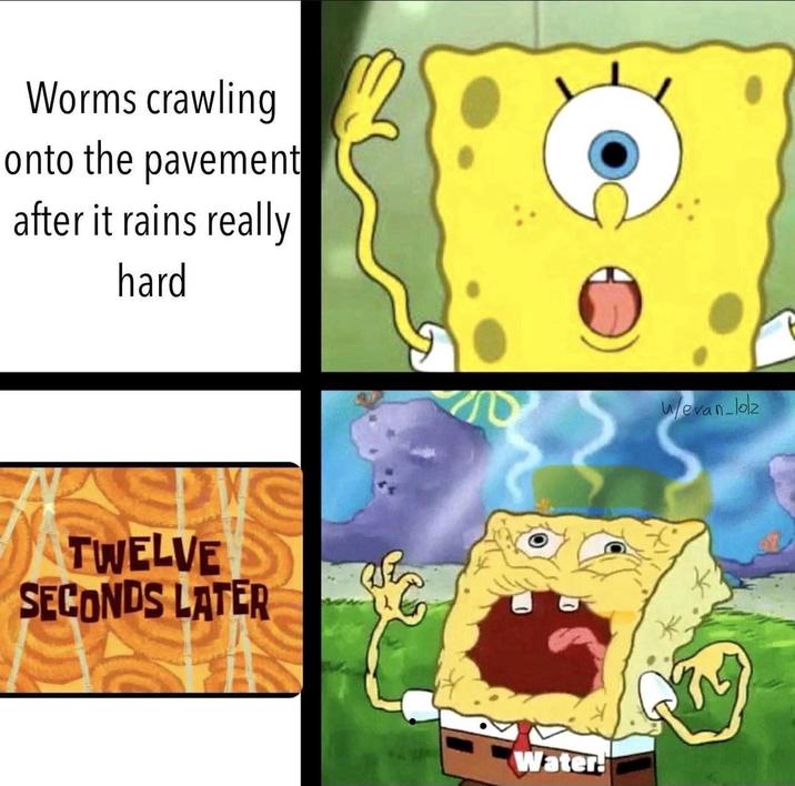 Worms crawling onto the pavement after it rains really hard TWELVE SECONDS LATER Water! Wevan_lolz