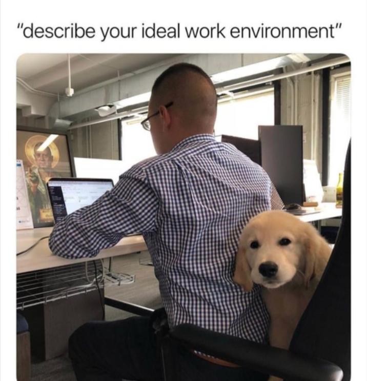 "describe your ideal work environment"