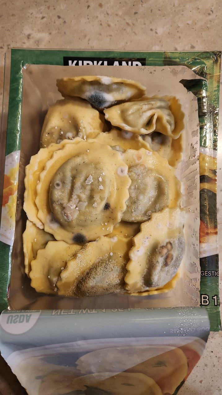 KIRKL GESTIC B1 VELMI N2DV