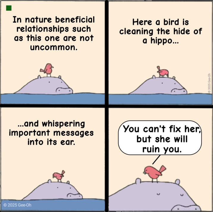 In nature beneficial relationships such as this one are not uncommon. Here a bird is cleaning the hide of a hippo... ...and whispering important messages into its ear. You can't fix her, but she will ruin you. © 2025 Gee-Oh ©2025 Gee-Oh