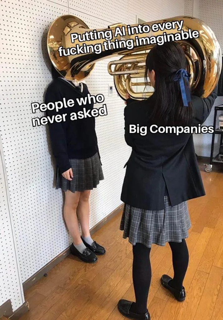 Putting Al into every f------ thing imaginable People who never asked Big Companies
