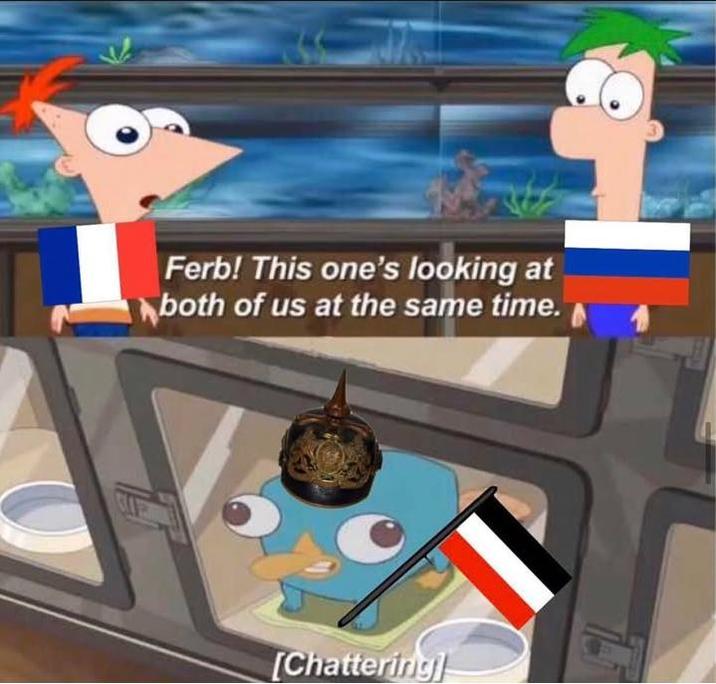 HI Ferb! This one's looking at both of us at the same time. [Chattering]