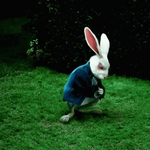 A "GIF":https://knowyourmeme.com/memes/cultures/gif of the White Rabbit Pointing at a Clock from the "_Alice in Wonderland_":https://knowyourmeme.com/memes/subcultures/alice-in-wonderland live-action film.