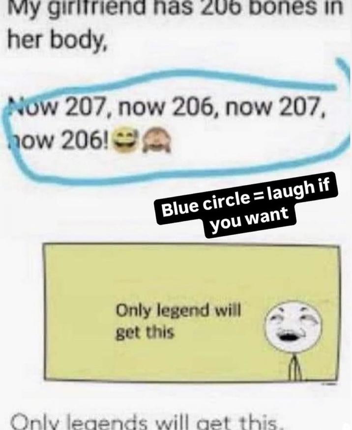My girlfriend has 206 bones in her body, Now 207, now 206, now 207, how 206! Blue circle = laugh if you want Only legend will get this Only legends will get this